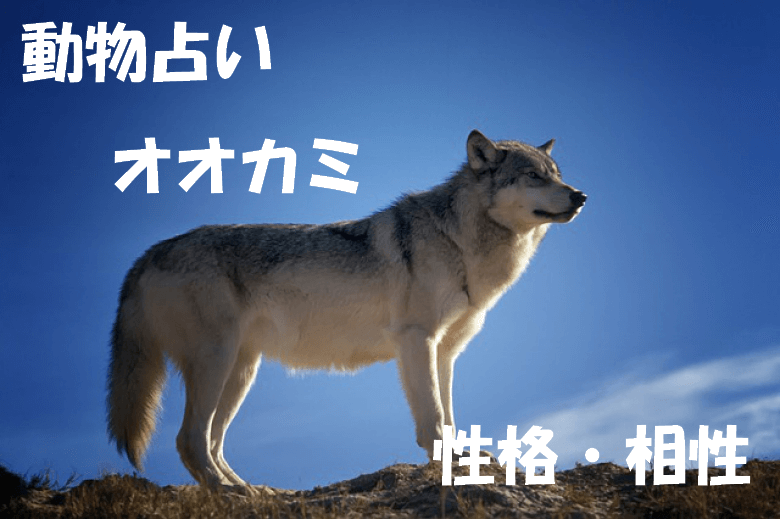 動物占い オオカミ